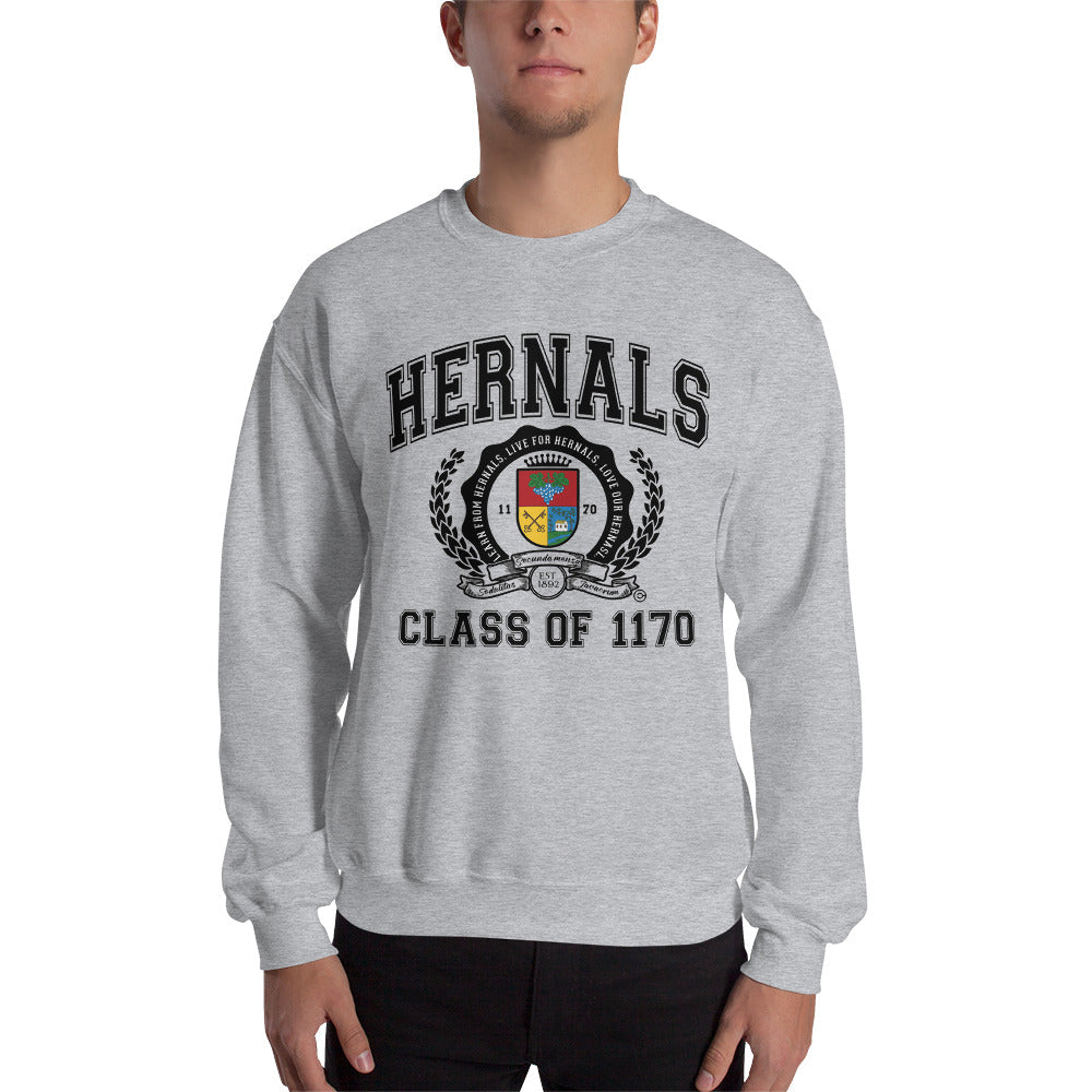 17., Hernals, Wien, „Alumni", Basic Unisex-Pullover